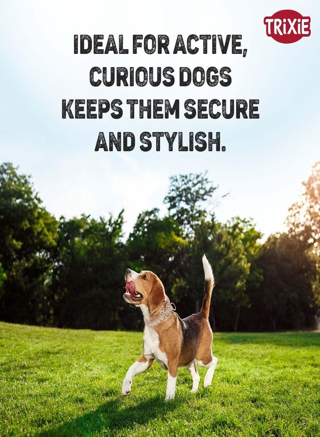 Trixie Cavo Semi-Choke Collar for Dogs | Strong and Durable Rope Collar with Chrome-Plated Semi-Choke Chain | Safe Training Tool to Discourage Pulling | Comfortable Fit (Blush/Sand, M) - Image 5